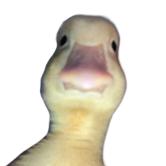 SYWERR